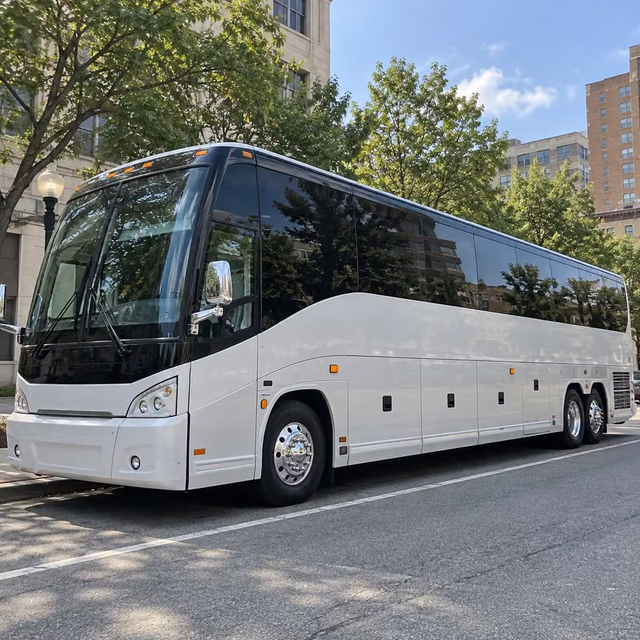 56 passenger charter bus
